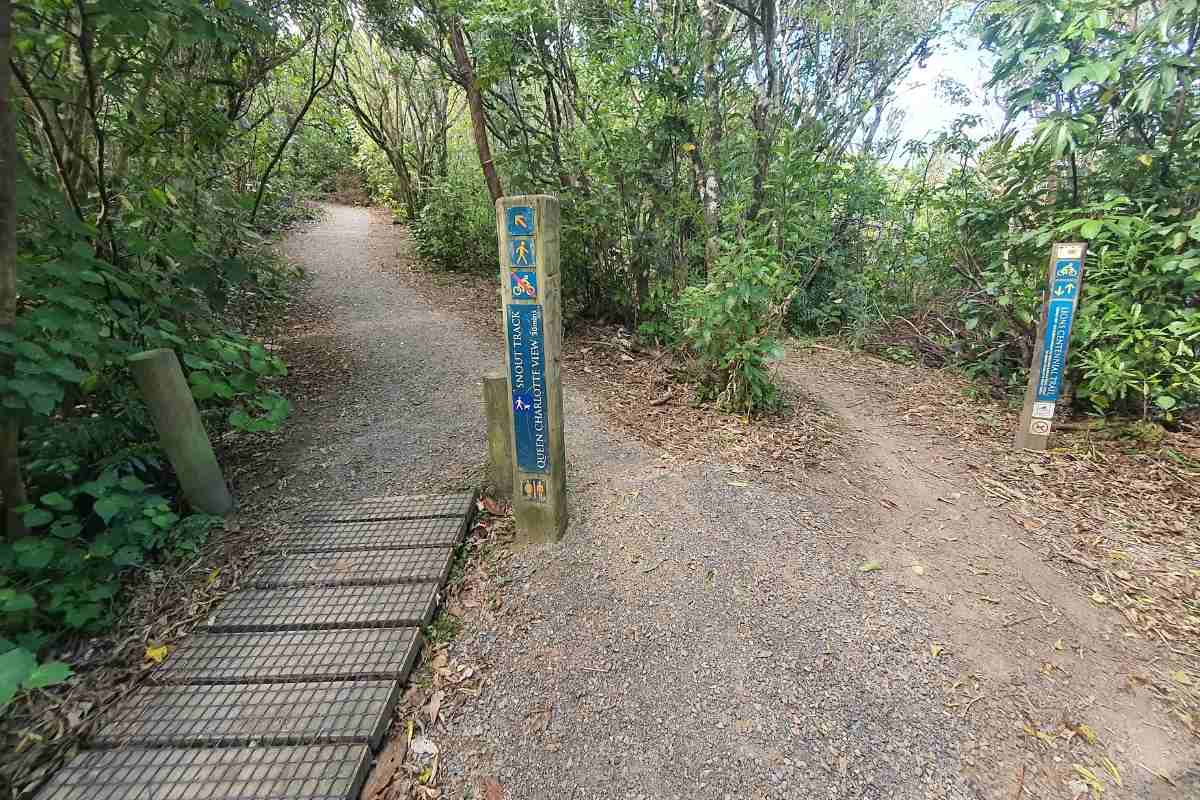 Snout Track from the carpark to Queen Charlotte View in Picton - Freewalks.nz