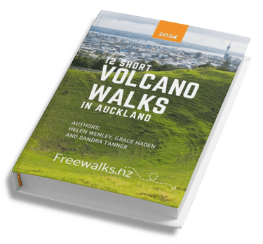 12 Short Volcano Walks in Auckland ebook