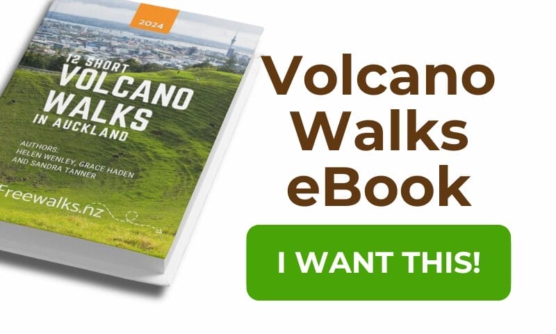 Volcano Walks ebook