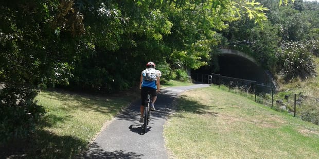 Cyclist on the Wattle Downs Walkway