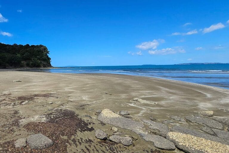 Cudlip Point Lookout walk at Mahurangi West - Te Muri Esturay and Beach