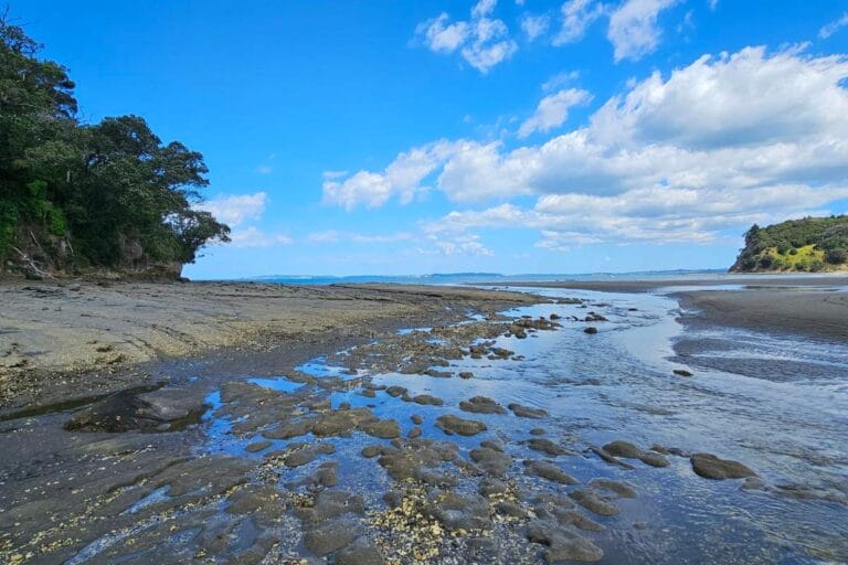 Cudlip Point Lookout walk at Mahurangi West - Te Muri Esturay and Beach