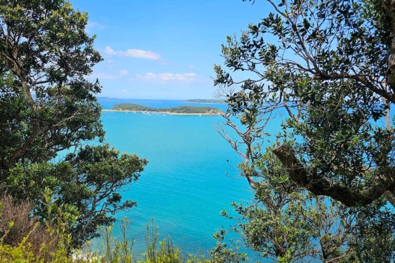 Cudlip Point Lookout walk at Mahurangi West - The point lookout (2)