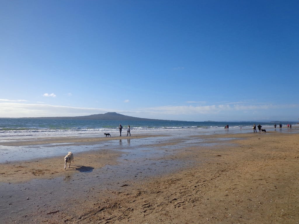 People with dog on the beach at Takapuna explorer