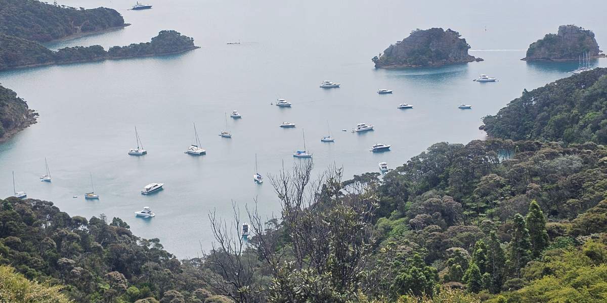 Boats up close in Kiwiriki Bay