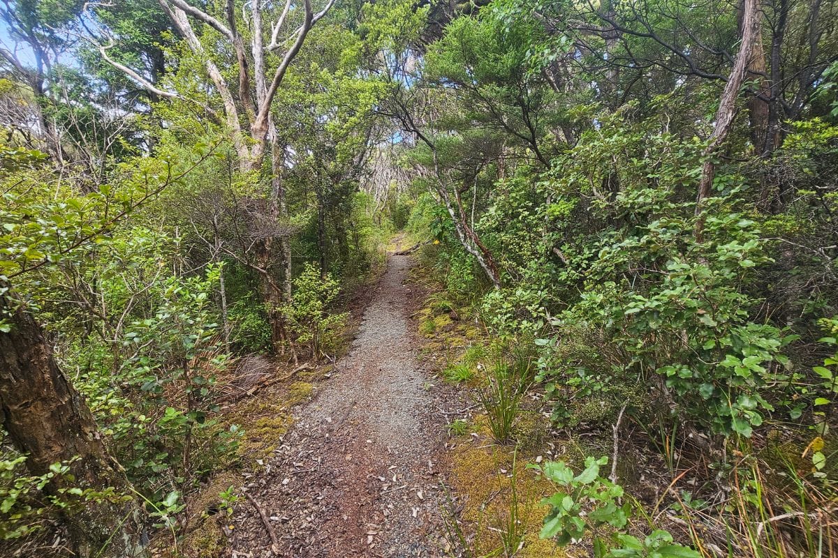 Nice track leading out to the lookout