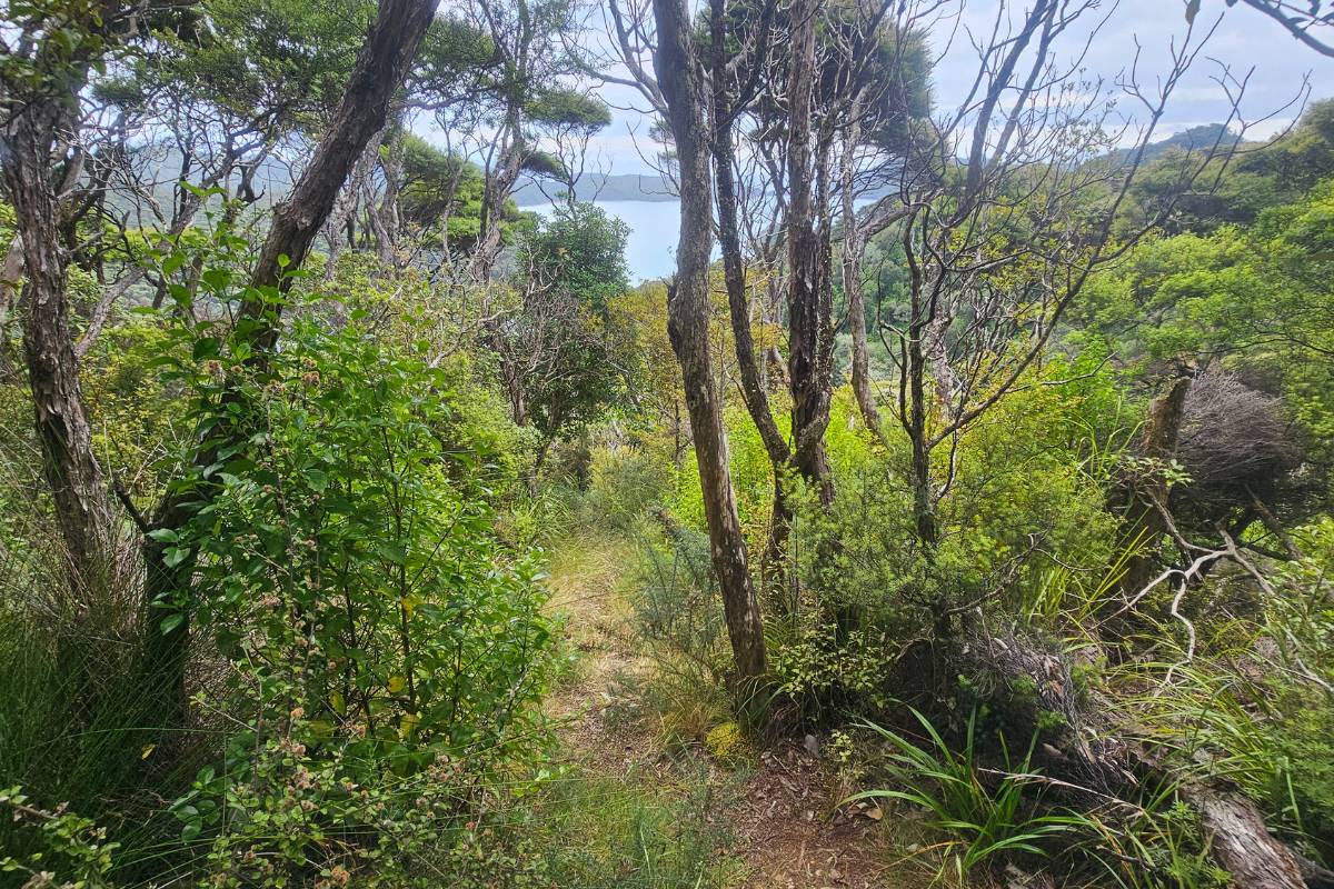 Steep uphill climb to the lookout