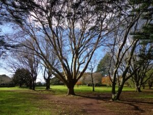 Winter Walks in Auckland