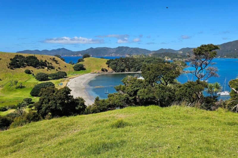 Urupukapuka Bay Loop Walk - Freewalks.nz