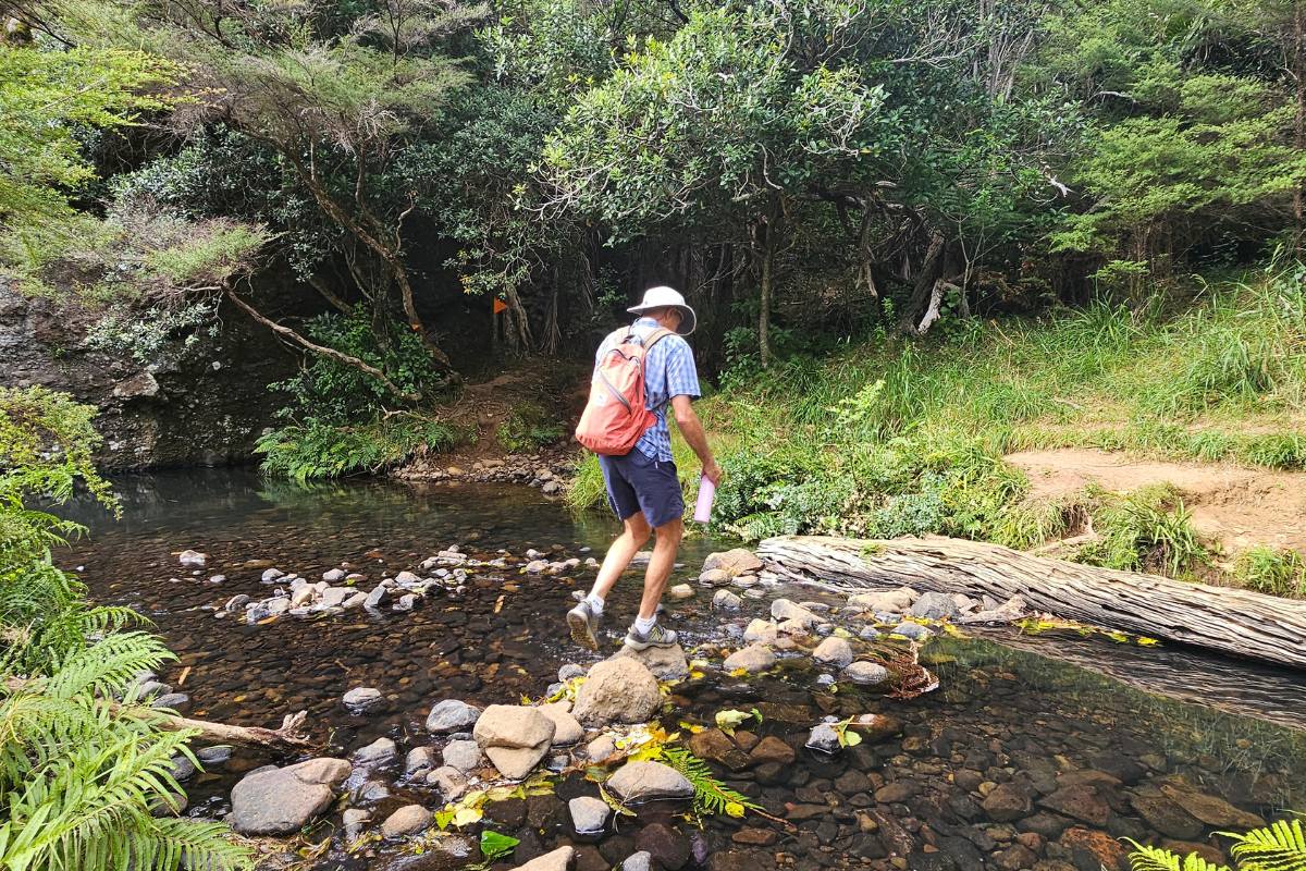Alan rock hopping over a typical creek crossing on a walk in the Bay of Islands