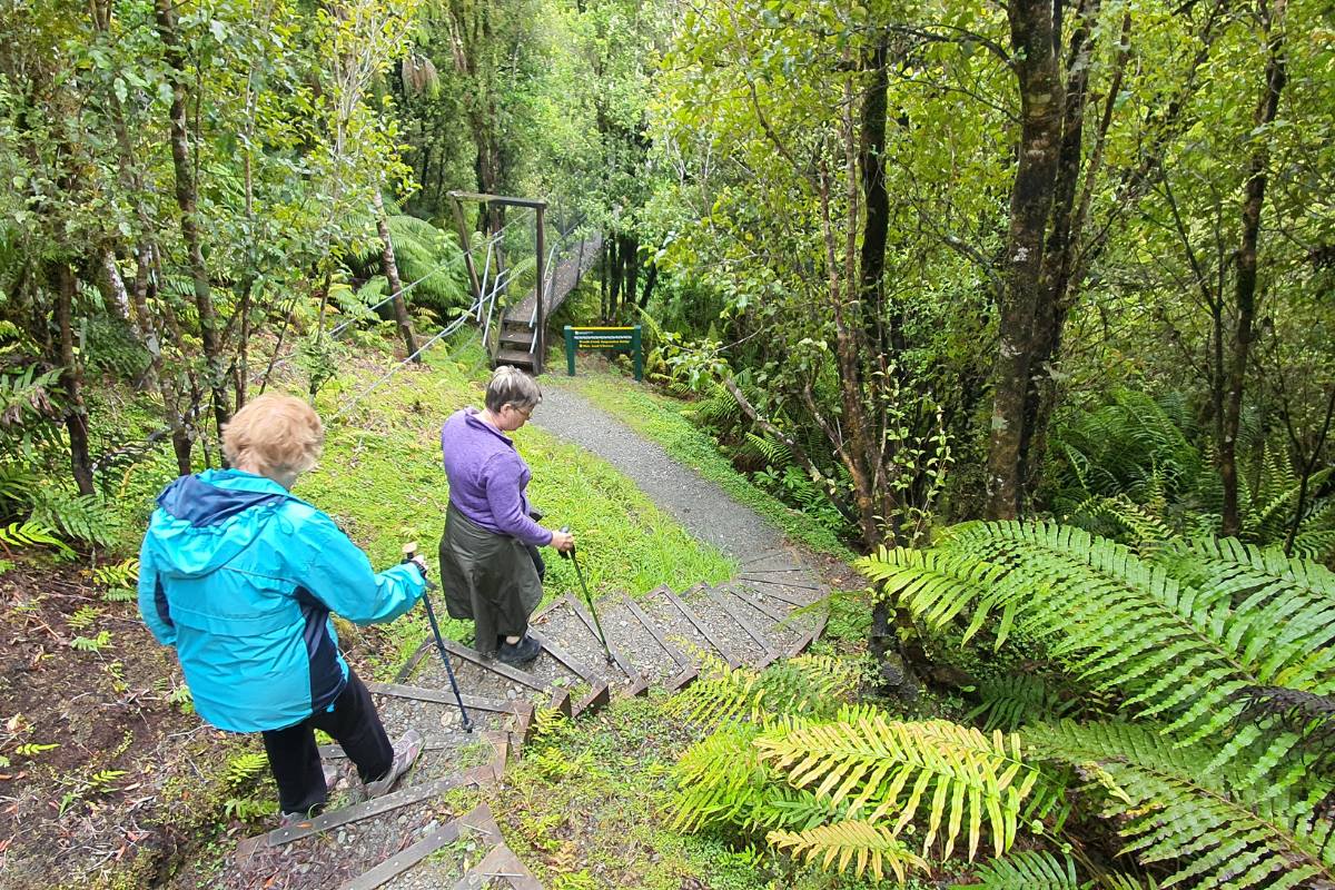 Walking sticks are very handy for steep steps in New Zealands bush