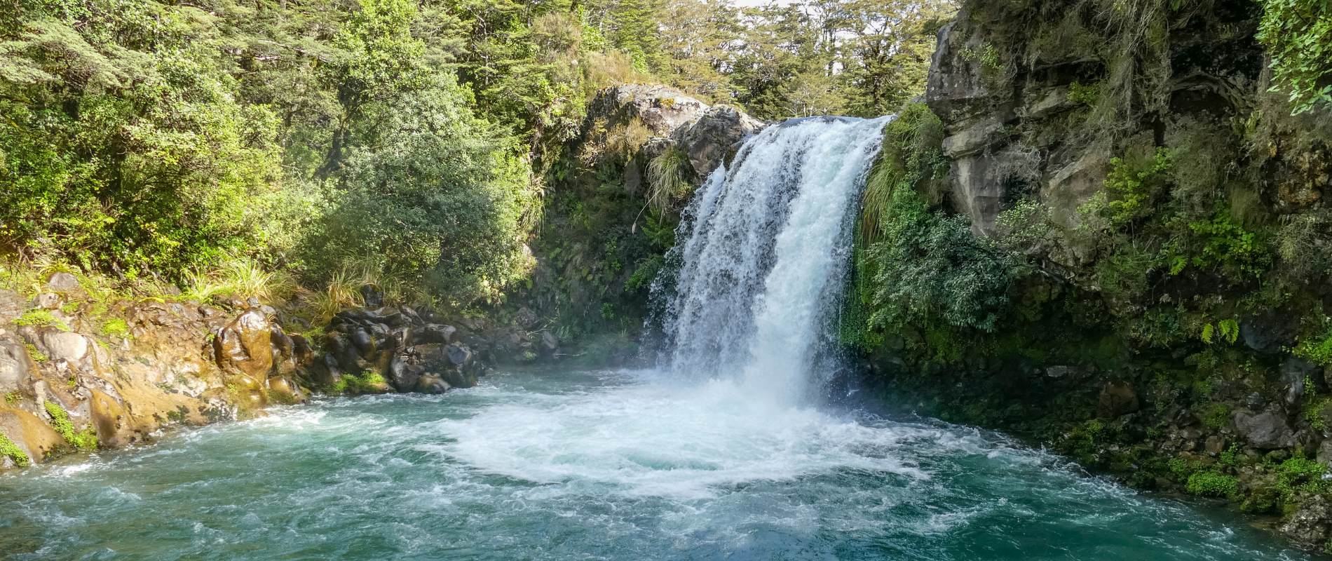 30 Best Waterfall Walks in New Zealand