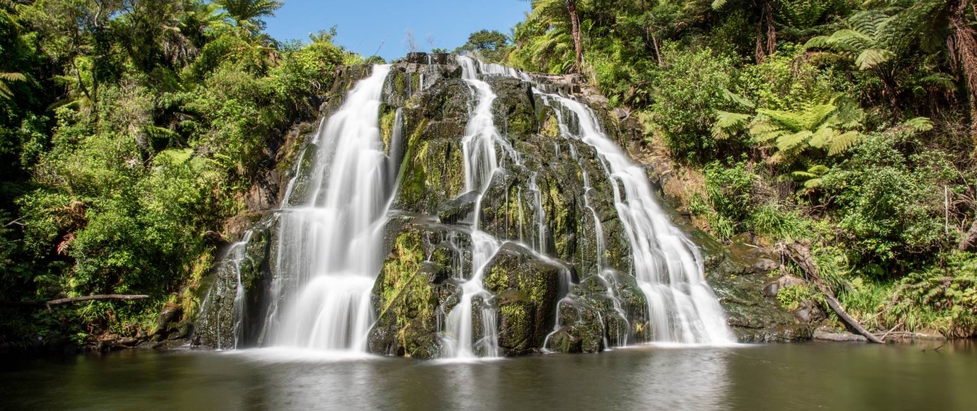 Take a Stroll to Owharoa Falls: Your Next Adventure Awaits!
