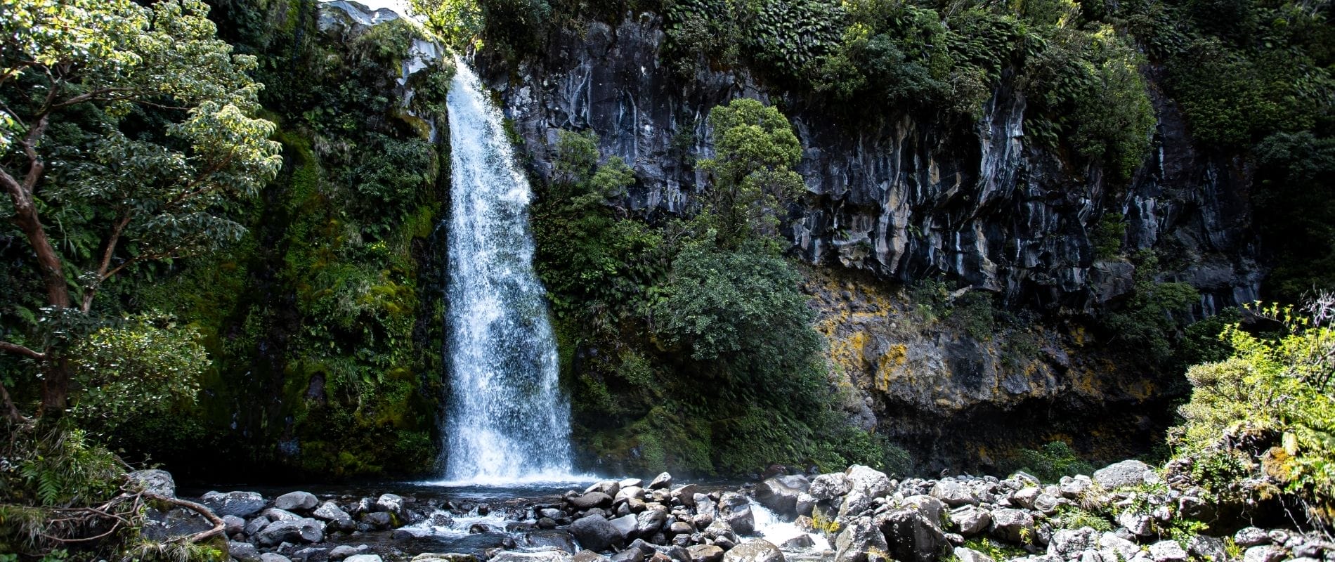 Dawson Falls walk