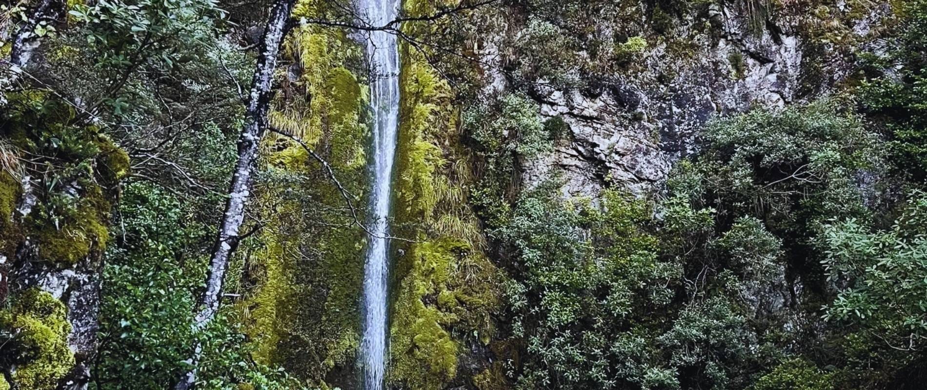 Hanmer Springs Waterfall Track The Ultimate Guide to Your Next Adventure