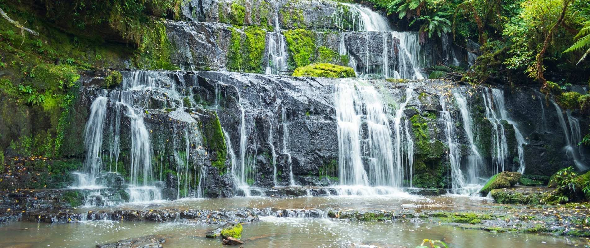 Purakaunui Falls Walk