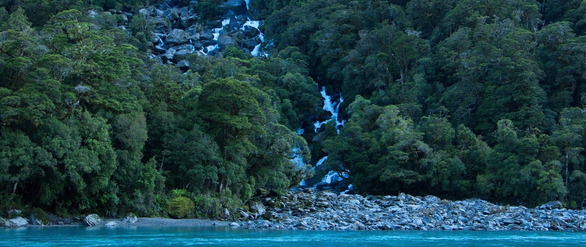 Roaring Billy Falls Walk A Splash of Fun in Haast Pass