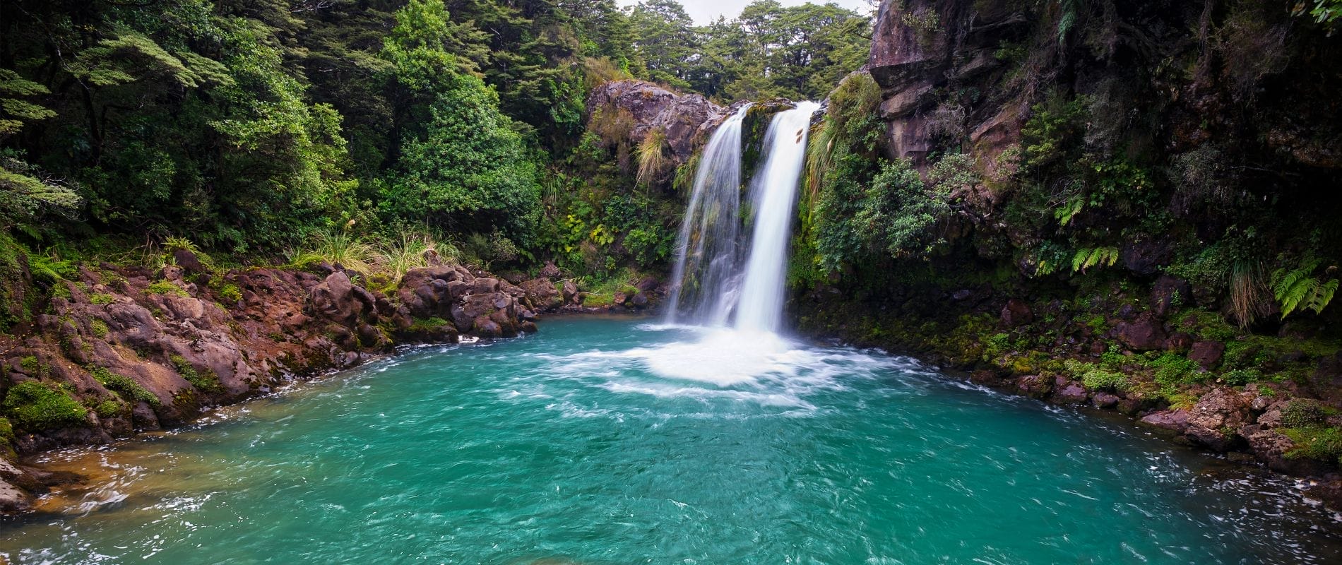 Tawhai Falls walk