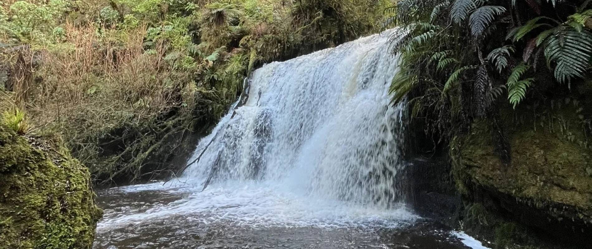 Waipohatu Waterfalls Track A Splash of Adventure in the Catlins