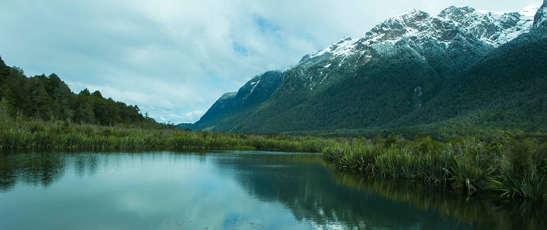 Greenstone Track A Walker's Paradise in Fiordland National Park