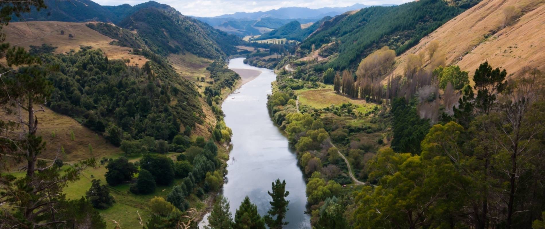 Whanganui Journey The Ultimate Kiwi Adventure You Can't Miss