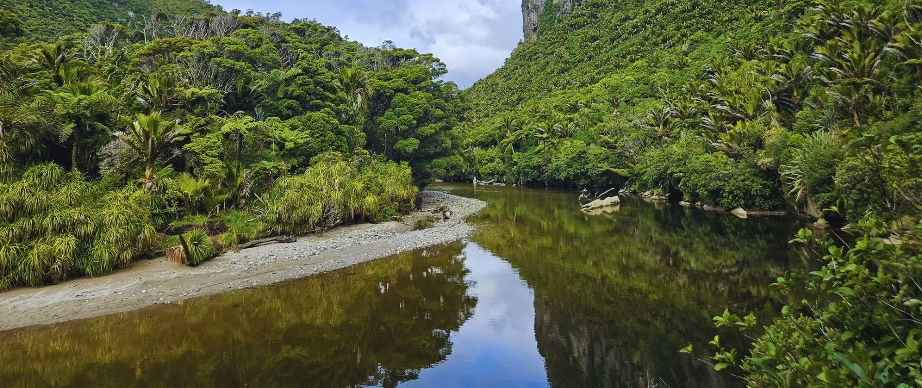 You Won't Believe How Stunning the Paparoa Track Is!