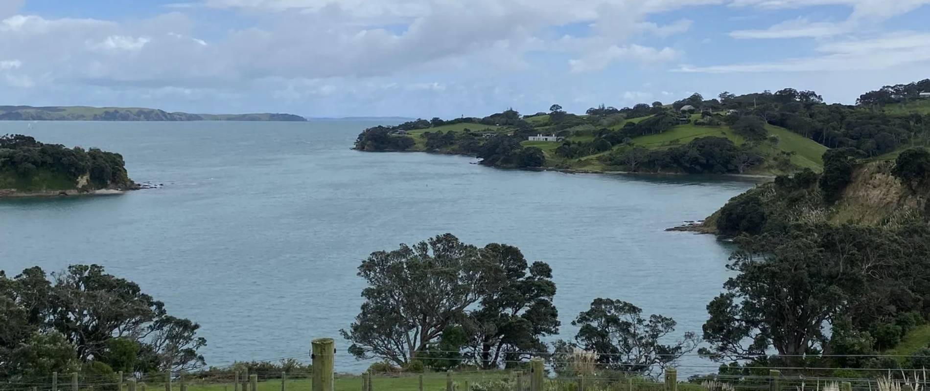 Mangawhai Cliff Walk A Coastal Adventure