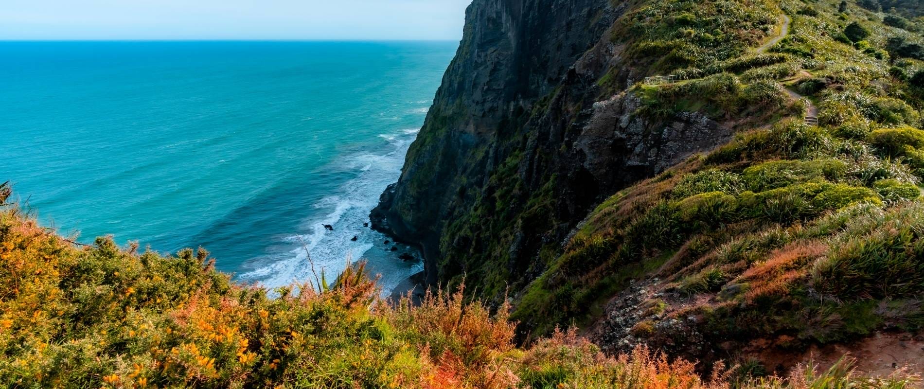 Must-Do Mercer Bay Loop Track Piha’s Scenic Secret