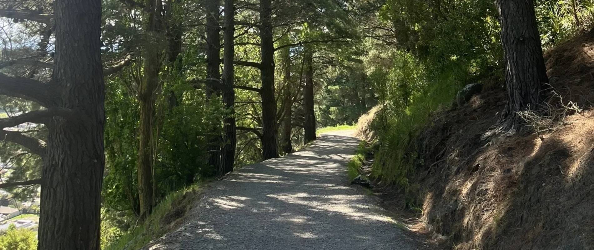 Rāpaki Track Christchurch Your Go-To Guide for a Great Hike