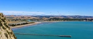 Why Cooks Cove Walkway in Tolaga Bay is a Must-Visit for Walkers!