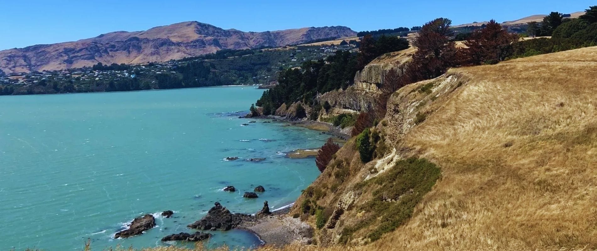 Quail Island Discovery Trail & Quail Island Track Lyttelton