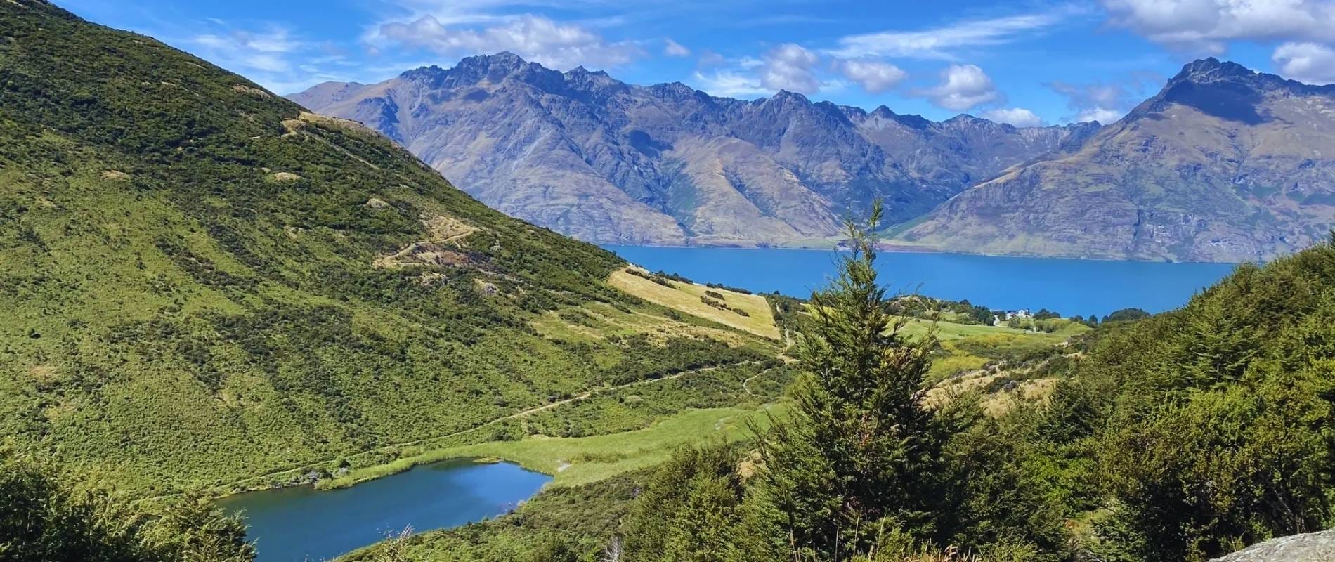 Lake Dispute Track Queenstown