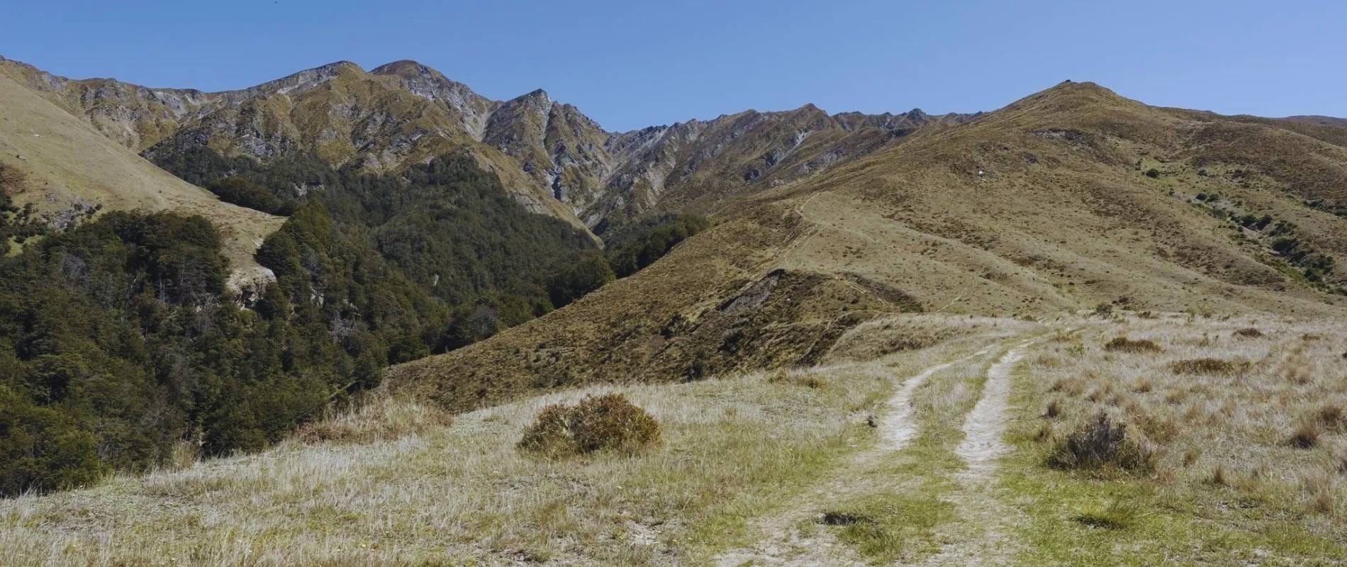 Sawpit Gully Trail Arrowtown