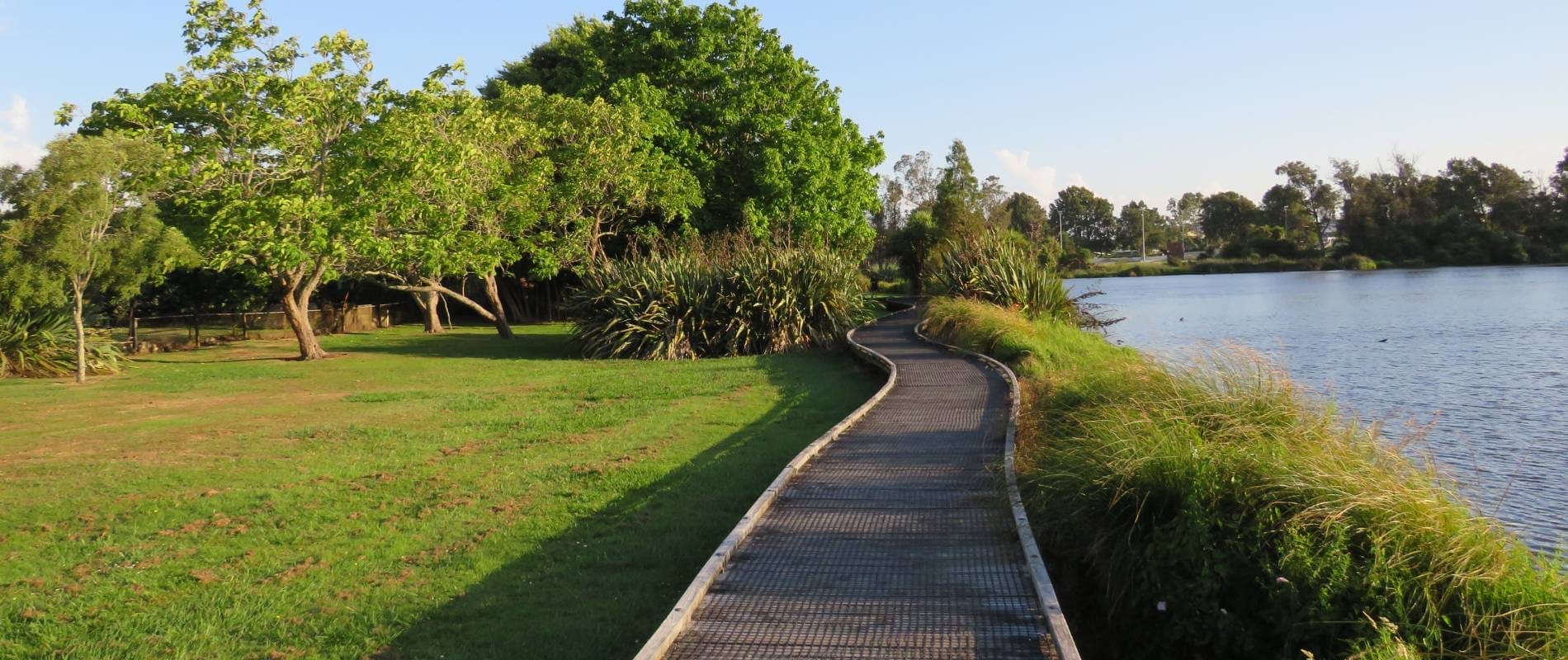 Hamilton Lake Walk