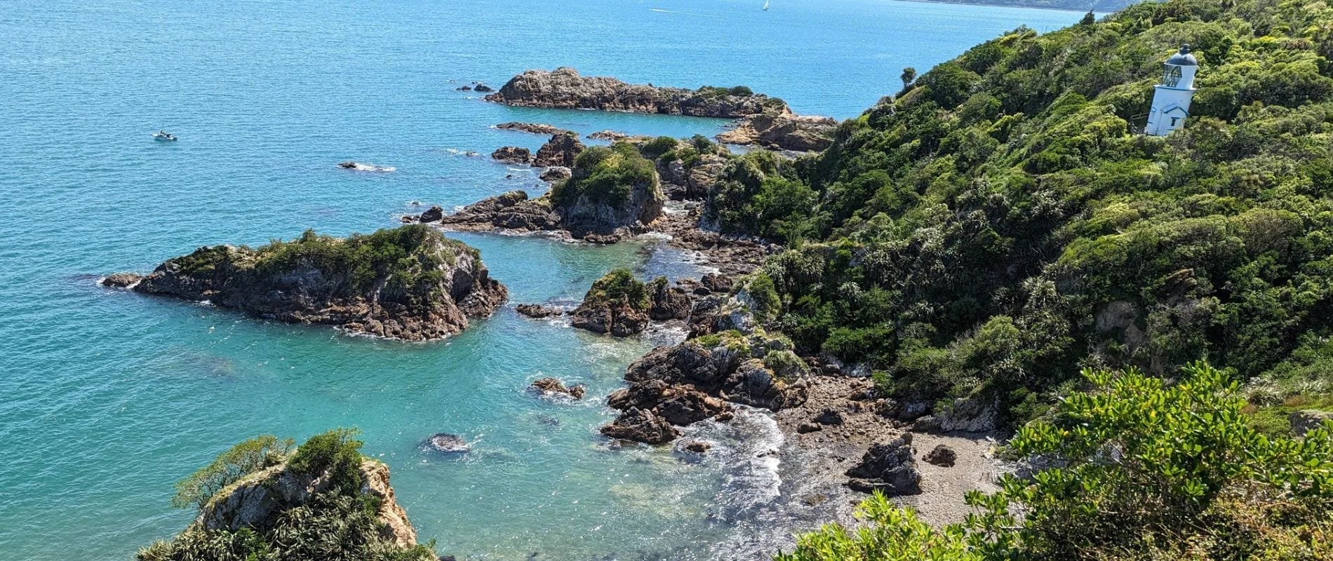 Somes Island Loop Track Wellington