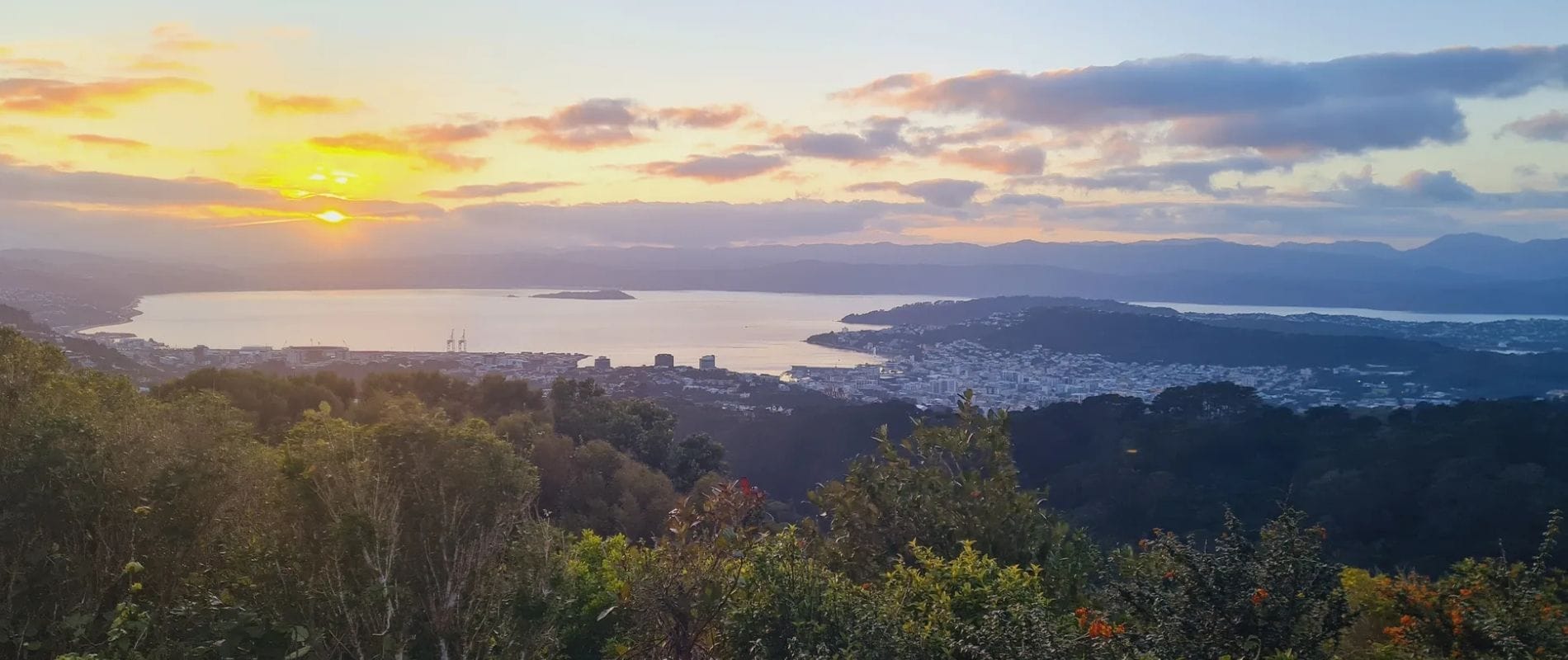 Wrights Hill Loop Wellington