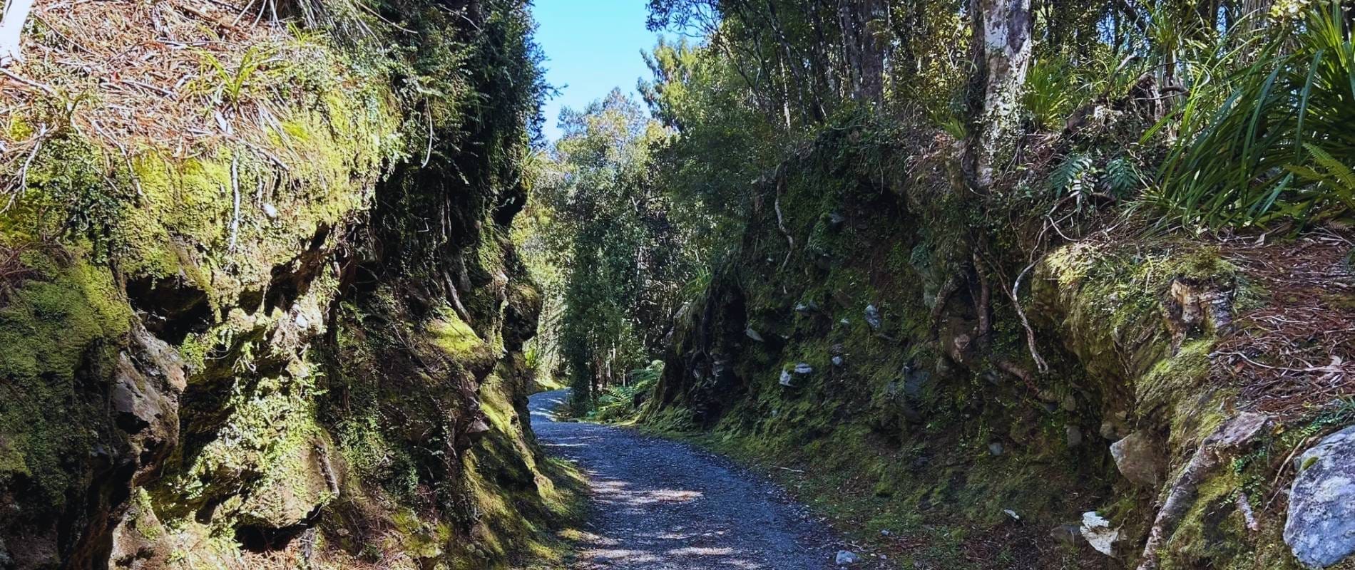 Ōkārito Trig Walk Franz Josef