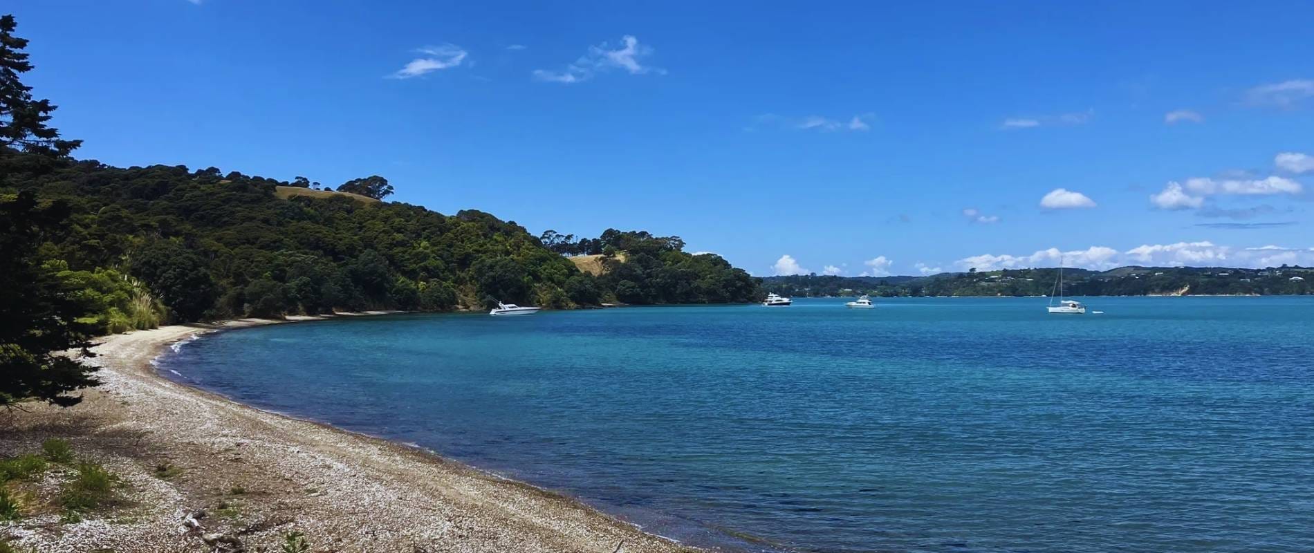 Park Point Headland Loop Walk Waiheke Island