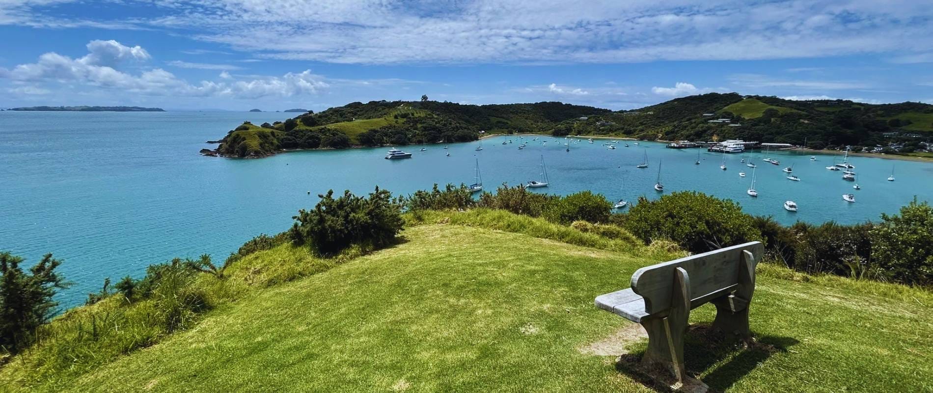 Church Bay Circuit Waiheke Island