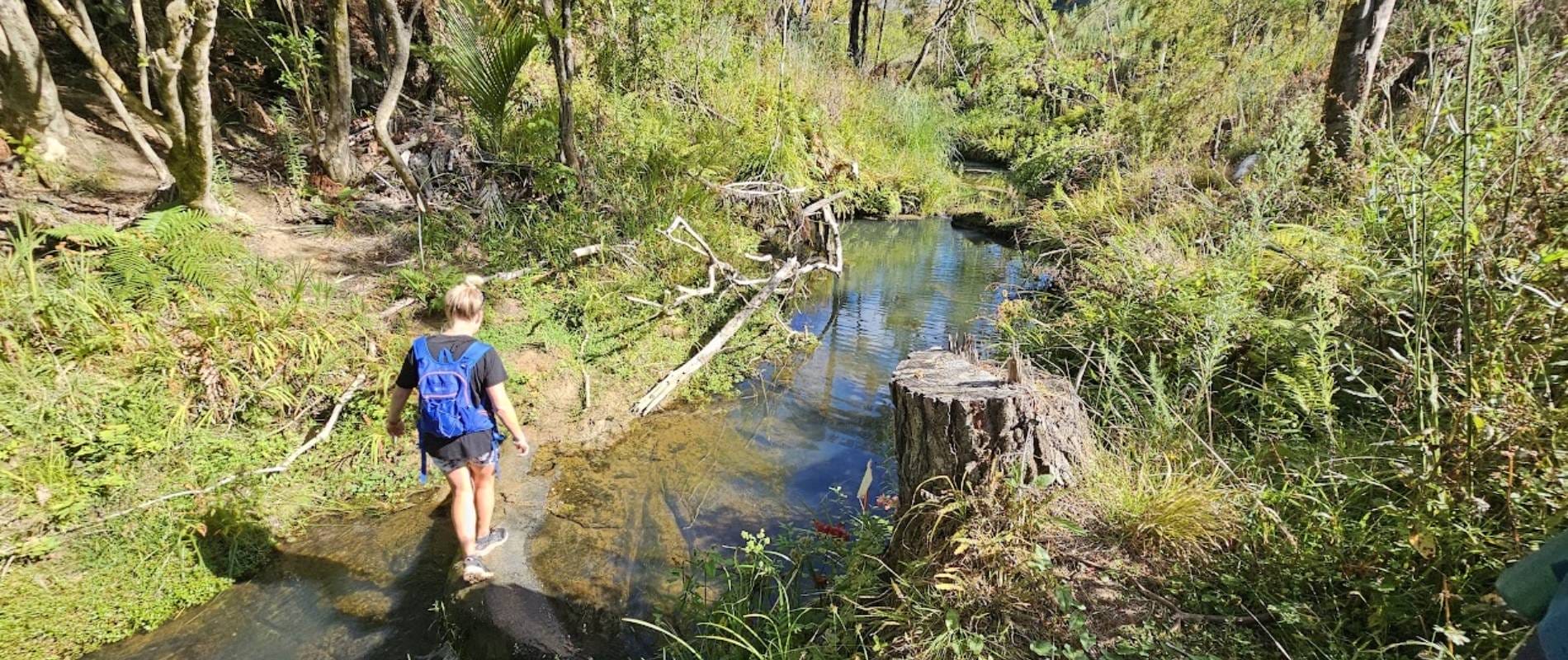 Puhoi Lookout Track to Remiger Rd